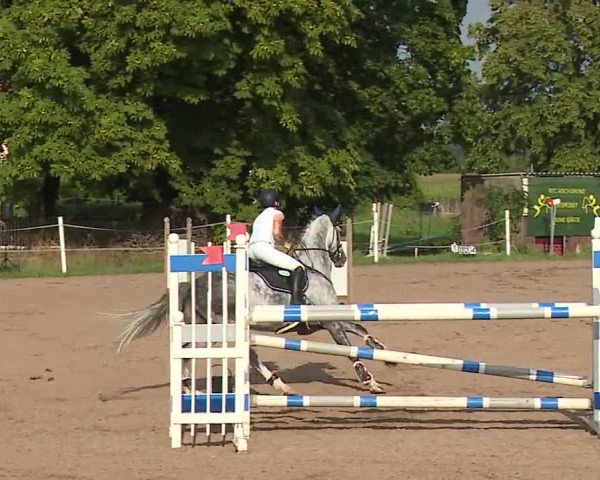 Reitturnier Demantsfürth/Mfr. 2023