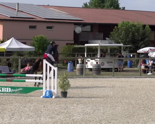 Reitturnier Dompierre 2023