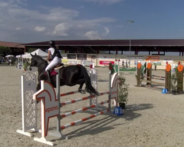 Reitturnier Dompierre 2023