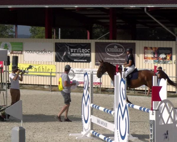 Reitturnier Dompierre 2023