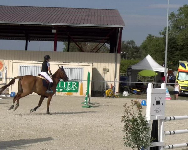 Reitturnier Dompierre 2023