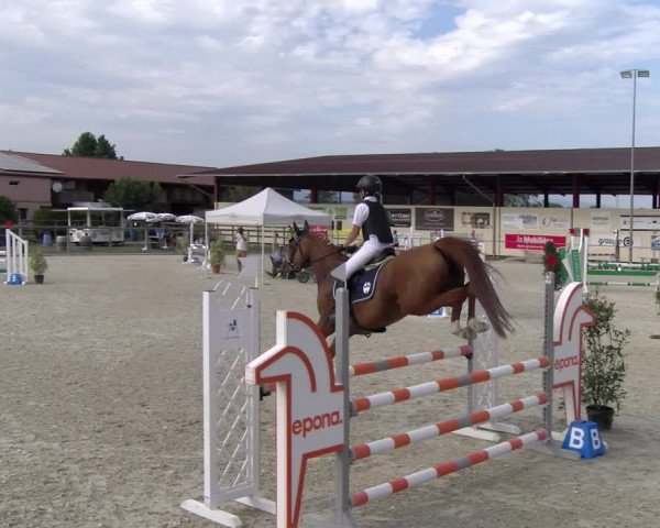 Reitturnier Dompierre 2023