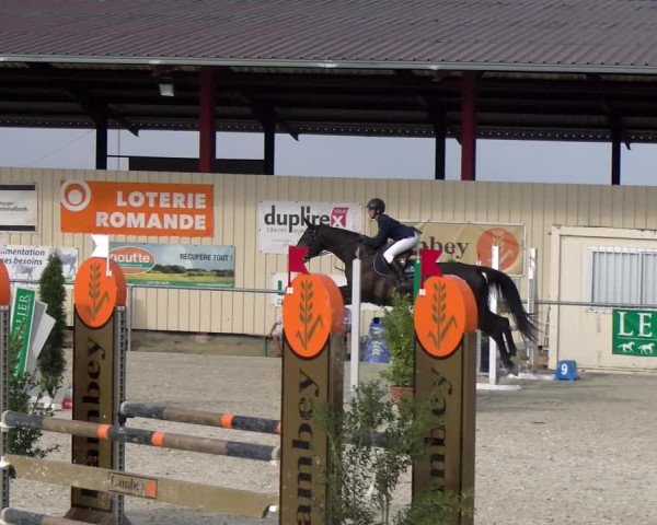 Reitturnier Dompierre 2023