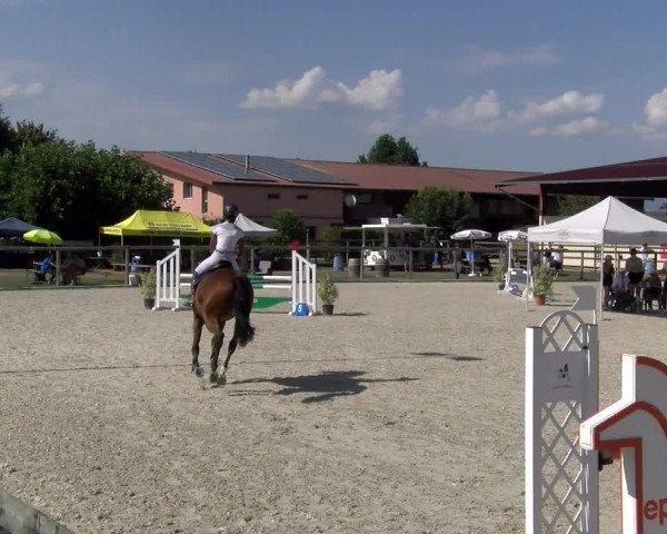 Reitturnier Dompierre 2023