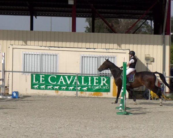 Reitturnier Dompierre 2023