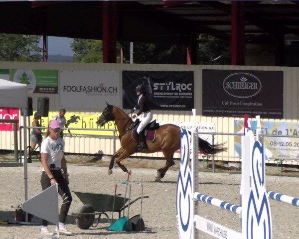 Reitturnier Dompierre 2023