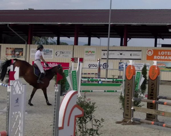 Reitturnier Dompierre 2023