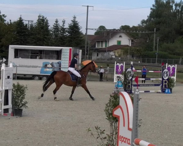 Reitturnier Dompierre 2023