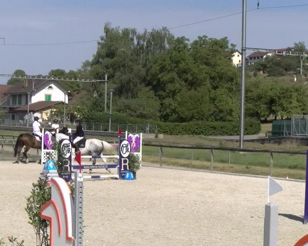 Reitturnier Dompierre 2023