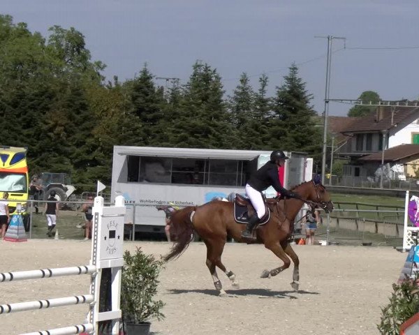 Reitturnier Dompierre 2023