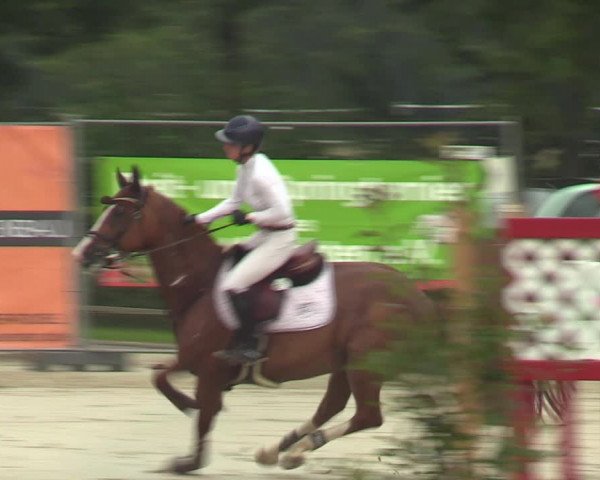 Reitturnier Münster-Albachten 2023