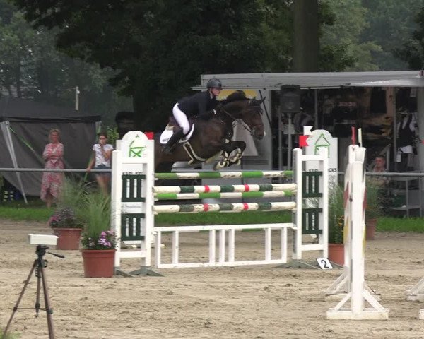 Reitturnier Datteln 2023