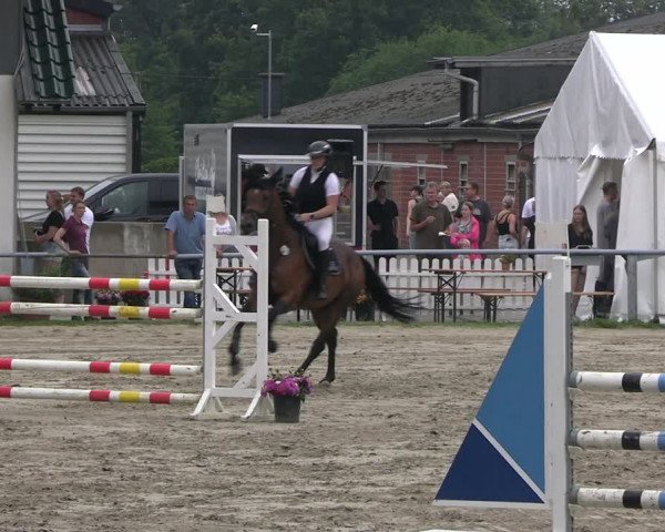 Reitturnier Datteln 2023