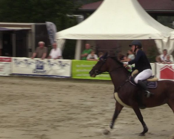 Reitturnier Münster-Albachten 2023