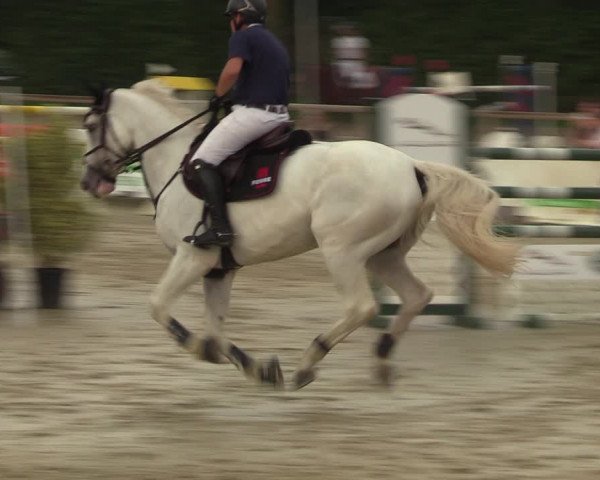 Reitturnier Münster-Albachten 2023