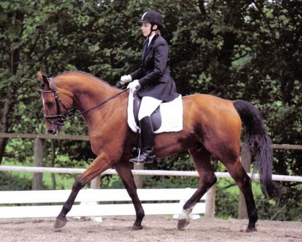 jumper Ragazzo's High Spirit (Hanoverian, 2002, from Ragazzo)
