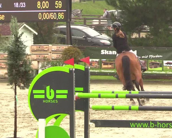 Reitturnier Schnarup-Thumby 2023