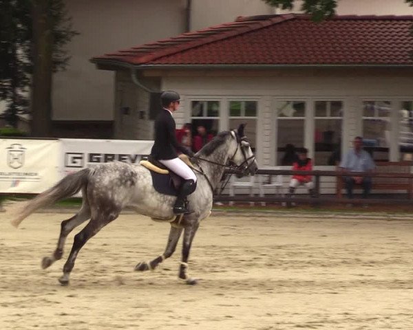 Reitturnier Schnarup-Thumby 2023