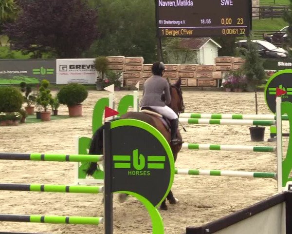 Reitturnier Schnarup-Thumby 2023