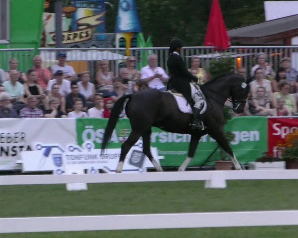 Reitturnier Aschersleben 2023
