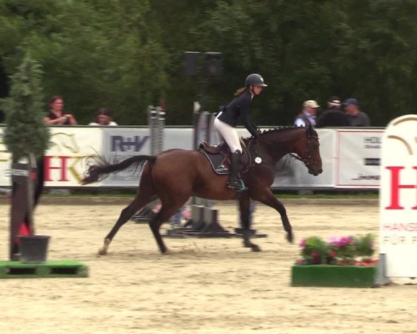 Reitturnier Schnarup-Thumby 2023