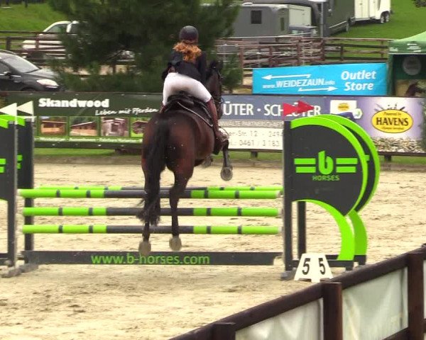 Reitturnier Schnarup-Thumby 2023