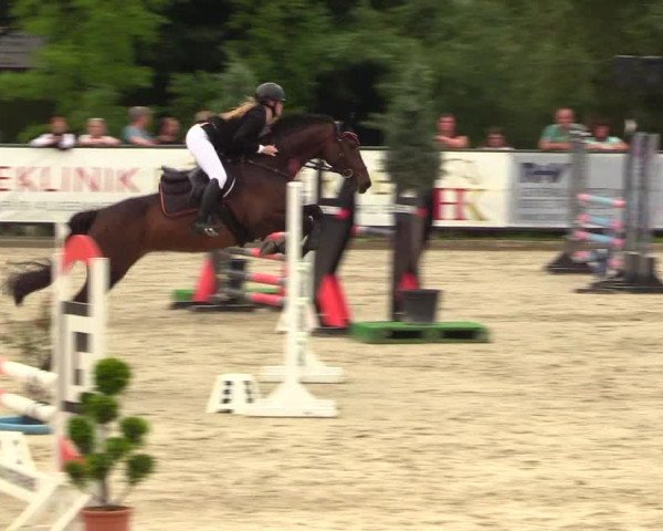Reitturnier Schnarup-Thumby 2023