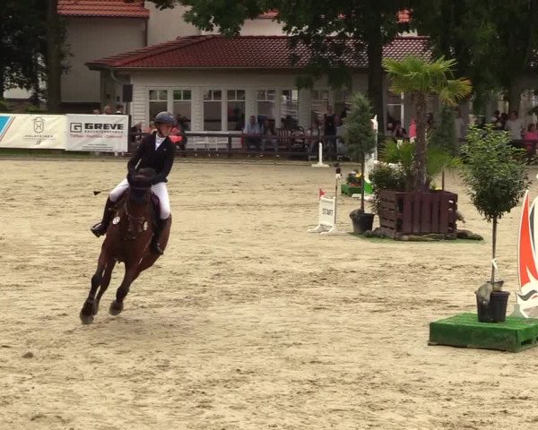 Reitturnier Schnarup-Thumby 2023