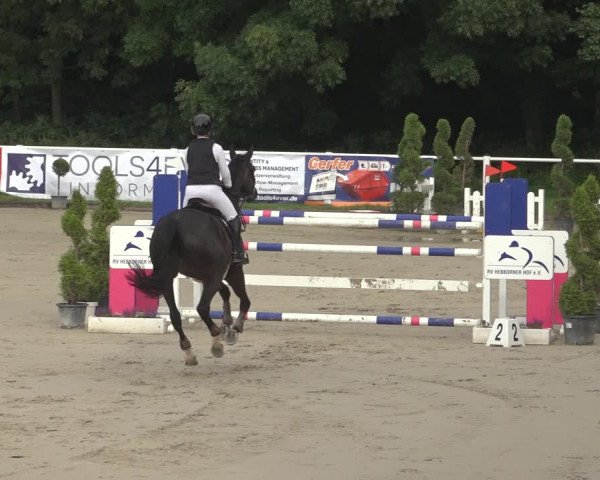 Reitturnier Bergisch Gladbach - Hebborner Hof 2023