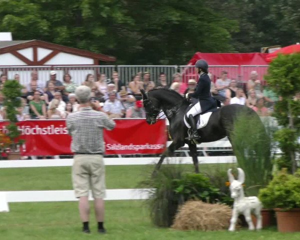 Reitturnier Aschersleben 2023