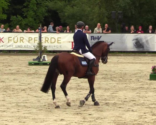 Reitturnier Schnarup-Thumby 2023