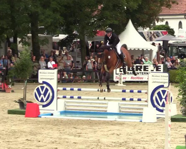 Reitturnier Schnarup-Thumby 2023