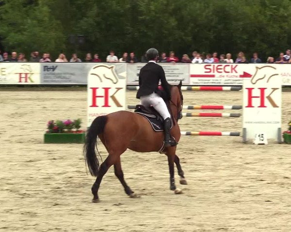 Reitturnier Schnarup-Thumby 2023