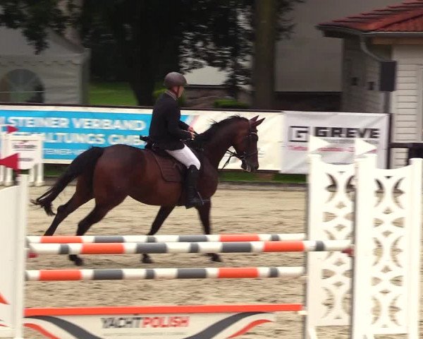 Reitturnier Schnarup-Thumby 2023