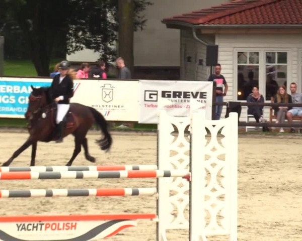 Reitturnier Schnarup-Thumby 2023