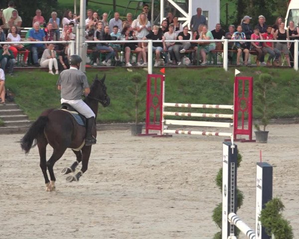 Reitturnier Bergisch Gladbach - Hebborner Hof 2023