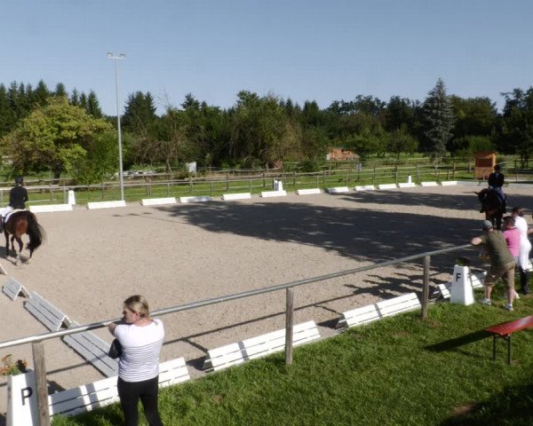 Reitturnier Köngen 2023