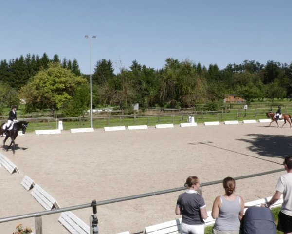 Reitturnier Köngen 2023
