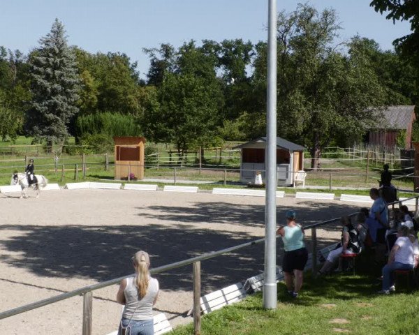 Reitturnier Köngen 2023