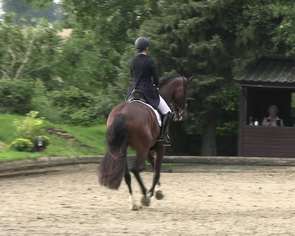 Reitturnier Datteln 2023
