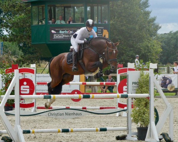 jumper Gentle Heartbreaker (KWPN (Royal Dutch Sporthorse), 2017, from Global Express)