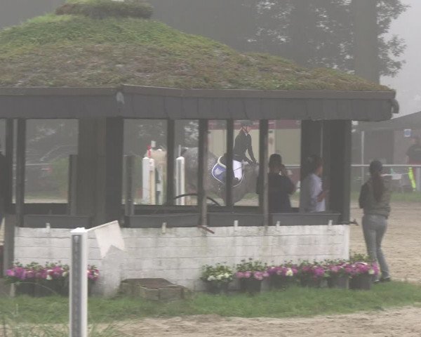 Reitturnier Datteln 2023