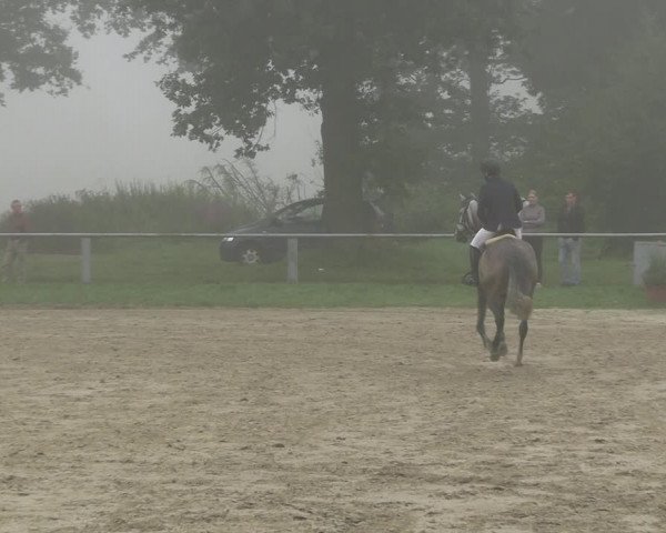 Reitturnier Datteln 2023