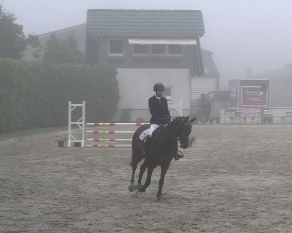 Reitturnier Datteln 2023