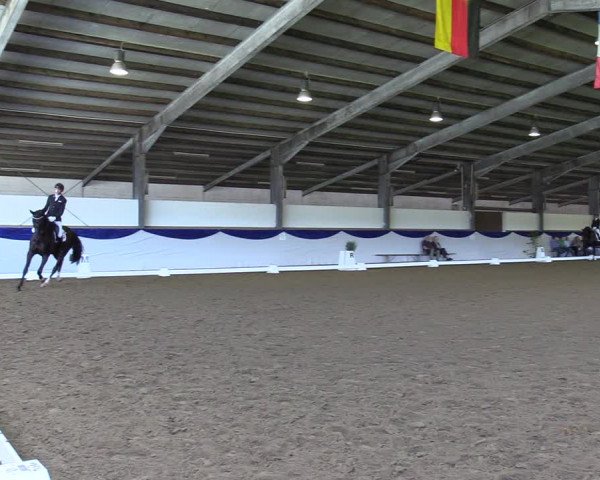 Reitturnier Münster-Albachten 2023