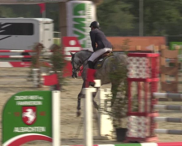 Reitturnier Münster-Albachten 2023