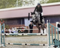 jumper Cold As Ice 6 (Oldenburg show jumper, 2018, from K.i Checkter)