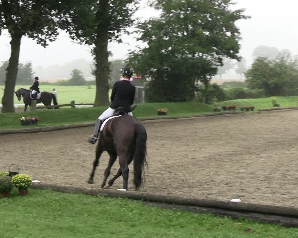 Reitturnier Datteln 2023
