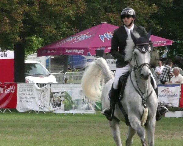 Reitturnier Aschersleben 2023