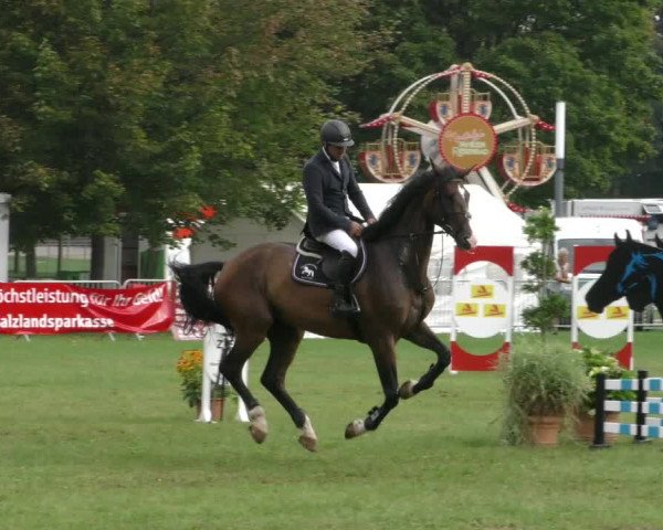 Reitturnier Aschersleben 2023